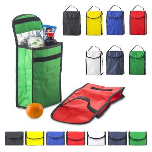 Nevera Cooler Bag Plegable | VA-787